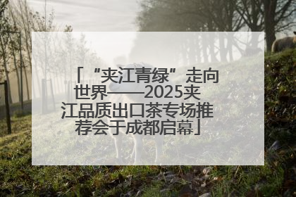 “夹江青绿”走向世界——2025夹江品质出口茶专场推荐会于成都启幕